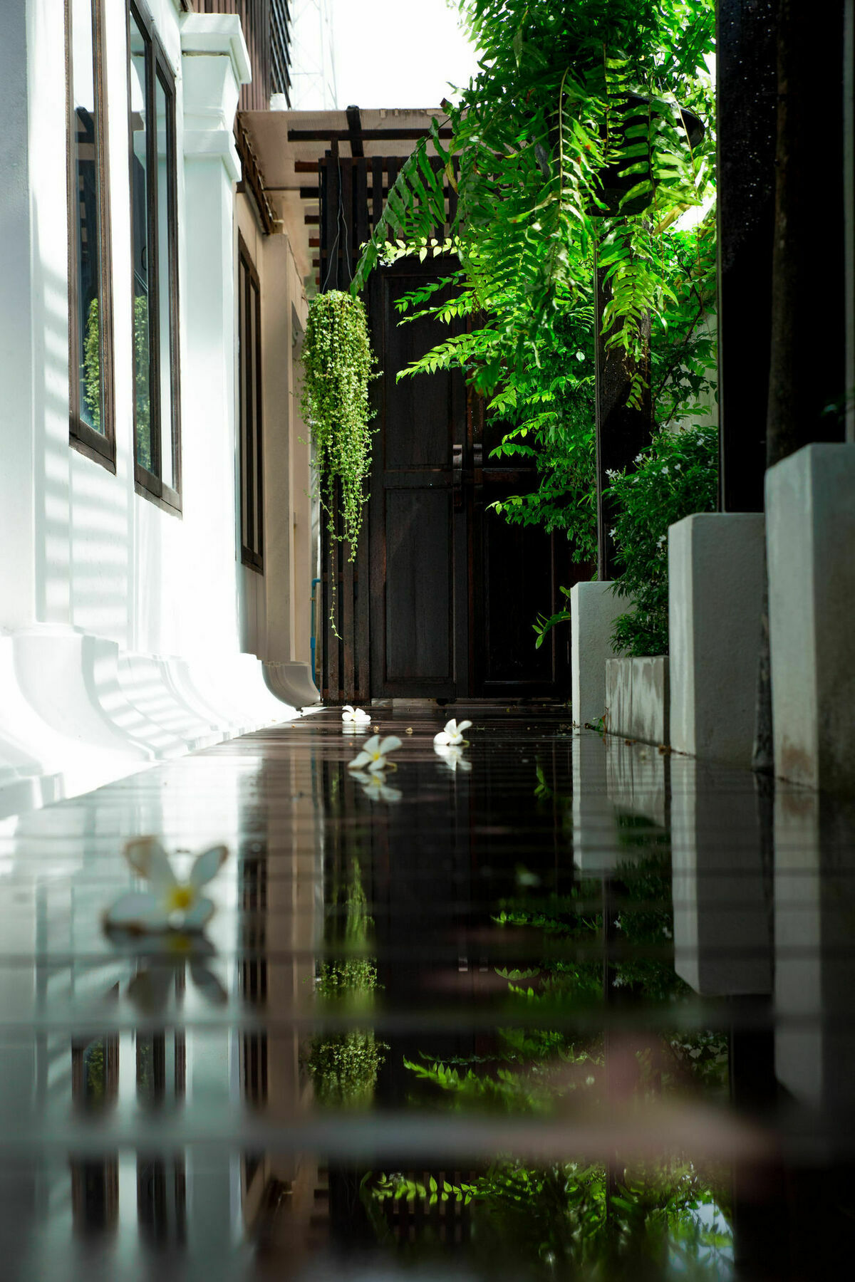 Rachamankha Thai Villa Chiang Mai Exterior foto